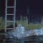 Ron Ritch takes a true polar bear swim at the North Pole. (1991)
