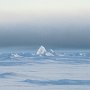 Arctic Scene (1996)
